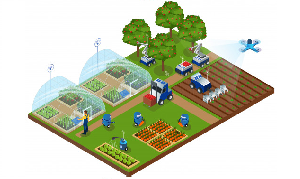 Những điều bạn nên biết về nông trại thông minh (Smart Farm)